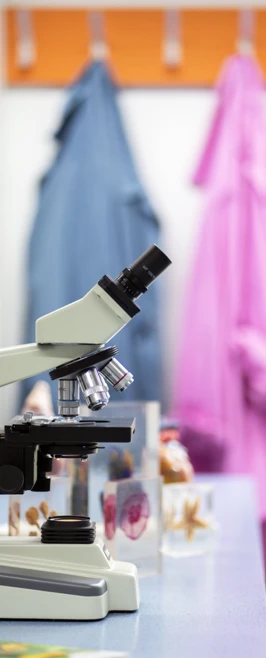 A microscope sits on a lab bench with colourful science models and glass slides nearby, while bright lab coats hang in the background, ready for the next experiment. A microscope sits on a lab bench with colourful science models and glass slides nearby, while bright lab coats hang in the background, ready for the next experiment.